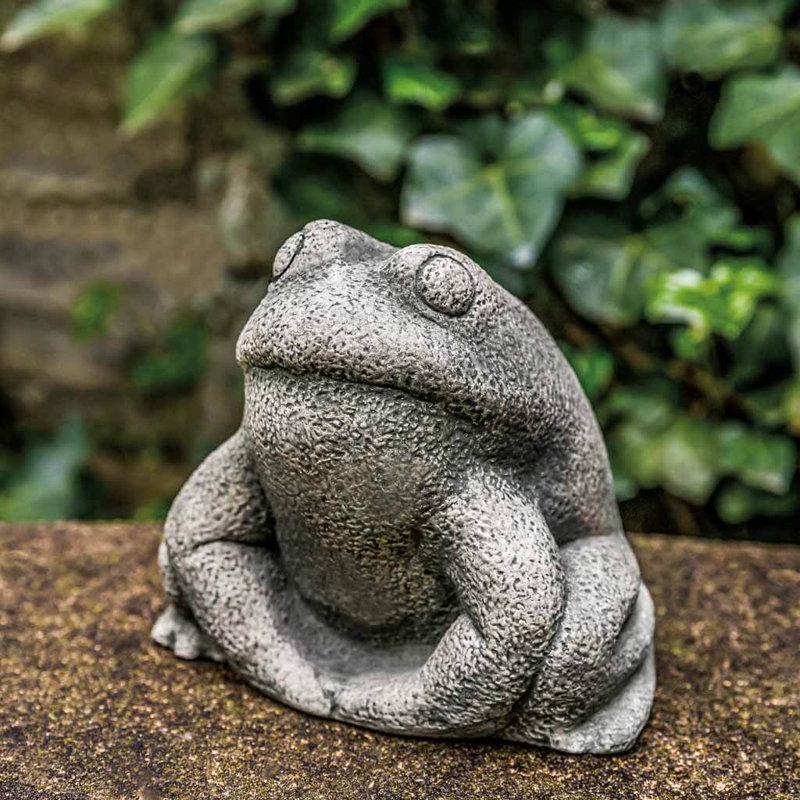 Pierre grenouille