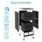 2-Drawer Locking File Cabinet - Sturdy Steel Storage with Rolling Casters for Home Office, Printer Stand, A4/Letter Size-326139659