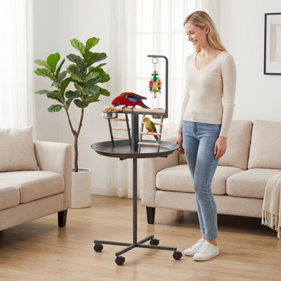 Support pour oiseaux, support pour perroquet avec roues, perchoir, bols en acier inoxydable, plateau rond pour l'intérieur et l'extérieur, gris foncé