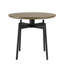 Acampora End Table