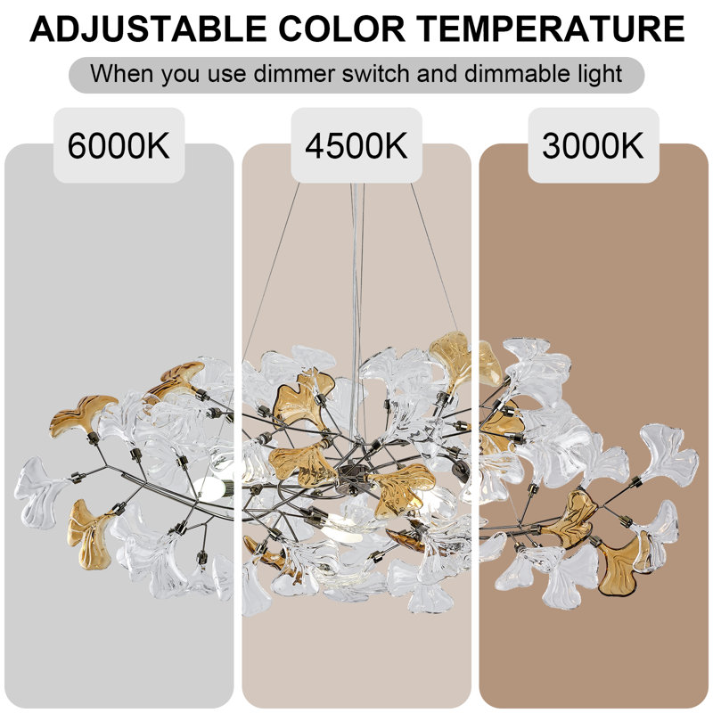5 - Light Chandelier
