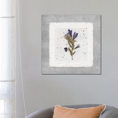 Beauty Preserved I by Carol Robinson - Print on Canvas