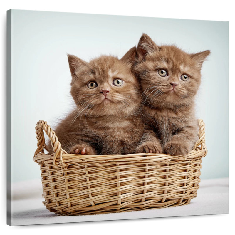 Crowle Basket Of Cats, 20" H x 20" W