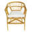 Ziaa Upholstered Accent Chair