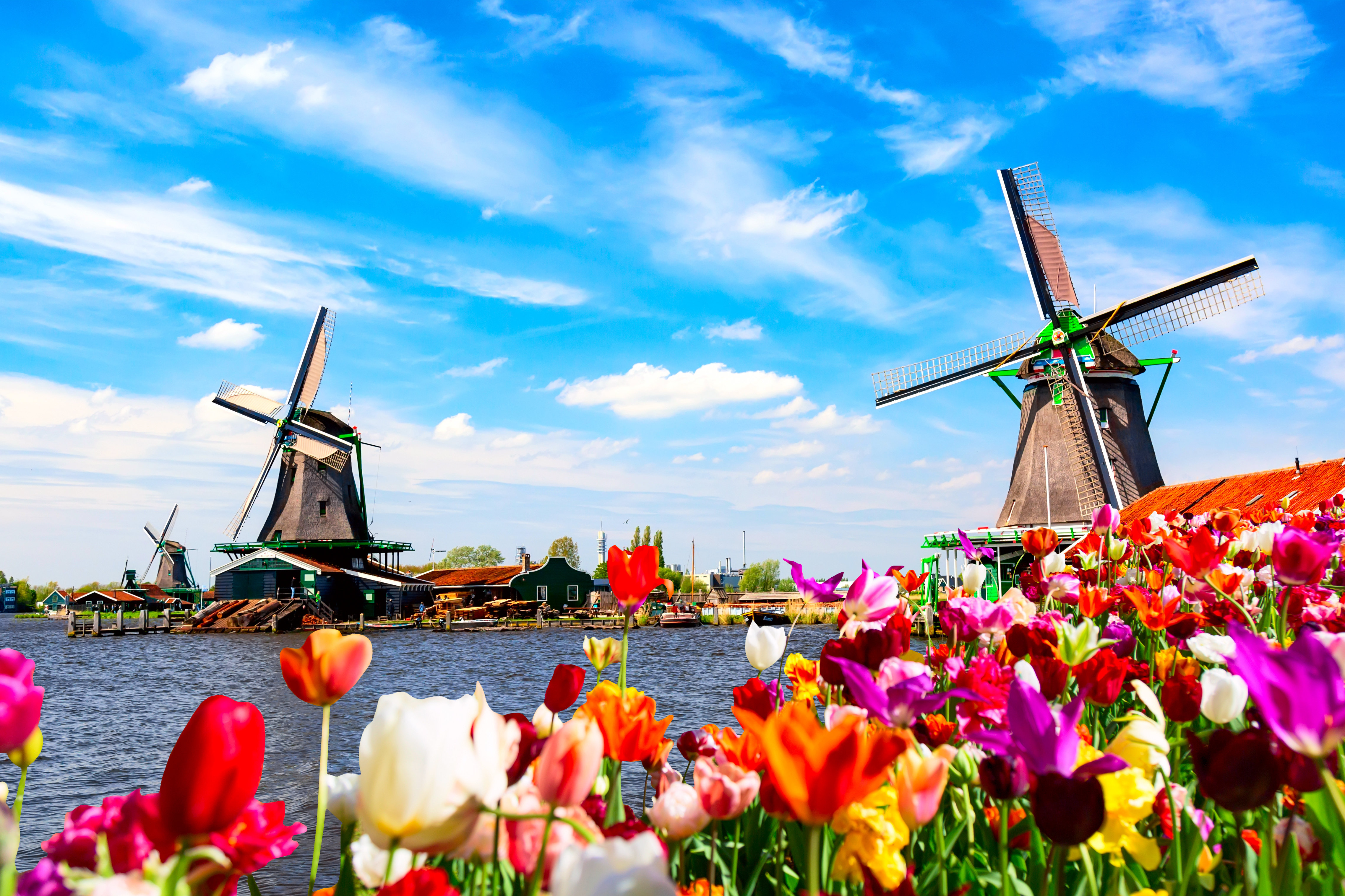 Latitude Run Glinski Dutch Spring Landscape - Wrapped Canvas Photograph ...