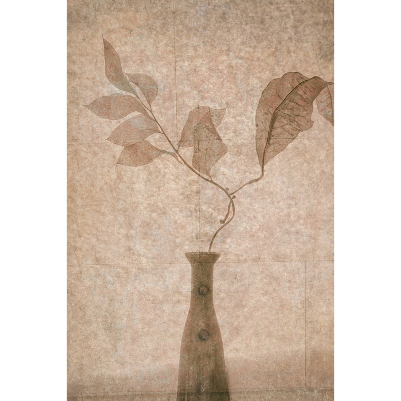 Wrapped Canvas Print, 76.2cm H x 50.8cm W