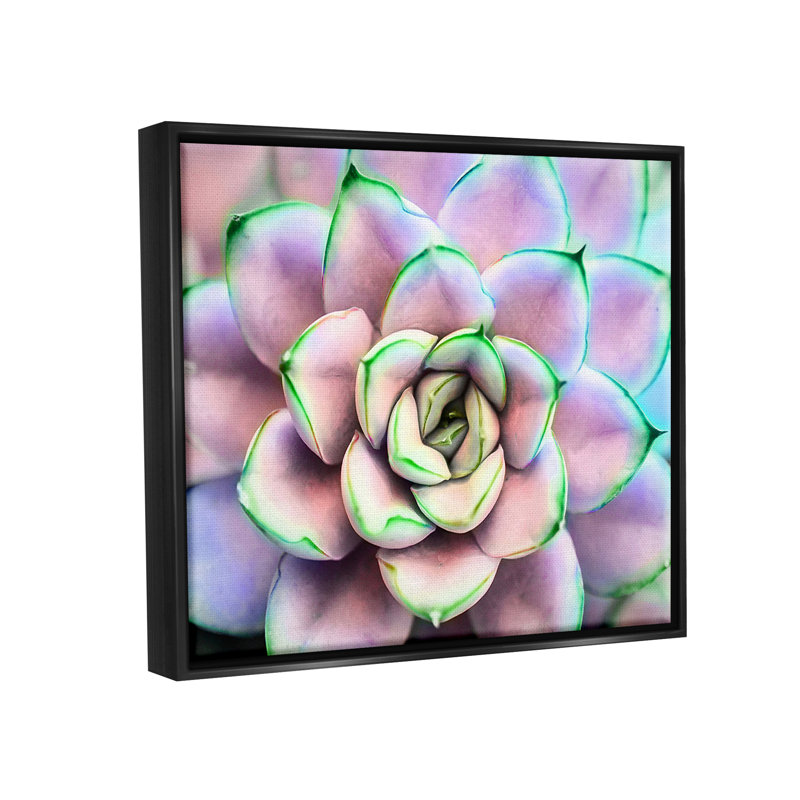 "Dakota Fields" mauve et vert, "Succulent Petals", art mural encadré par Jessica Manelis, Cadre flottant noir de jais
