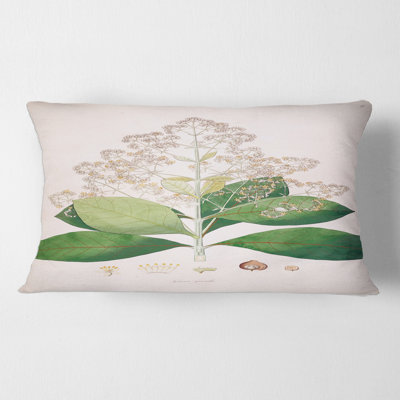 Housse et insert de coussin rectangulaire London Plants III