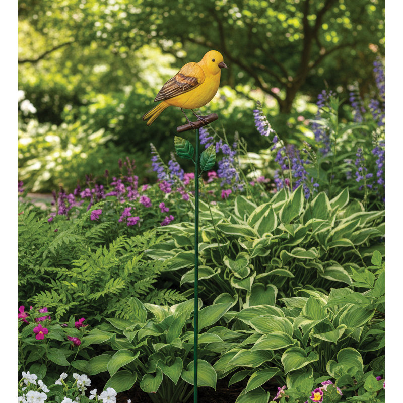 Piquet Songbird - Oriole