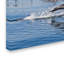 Ann «Dolphins», reproduction de photo sur toile tendue-24190271
