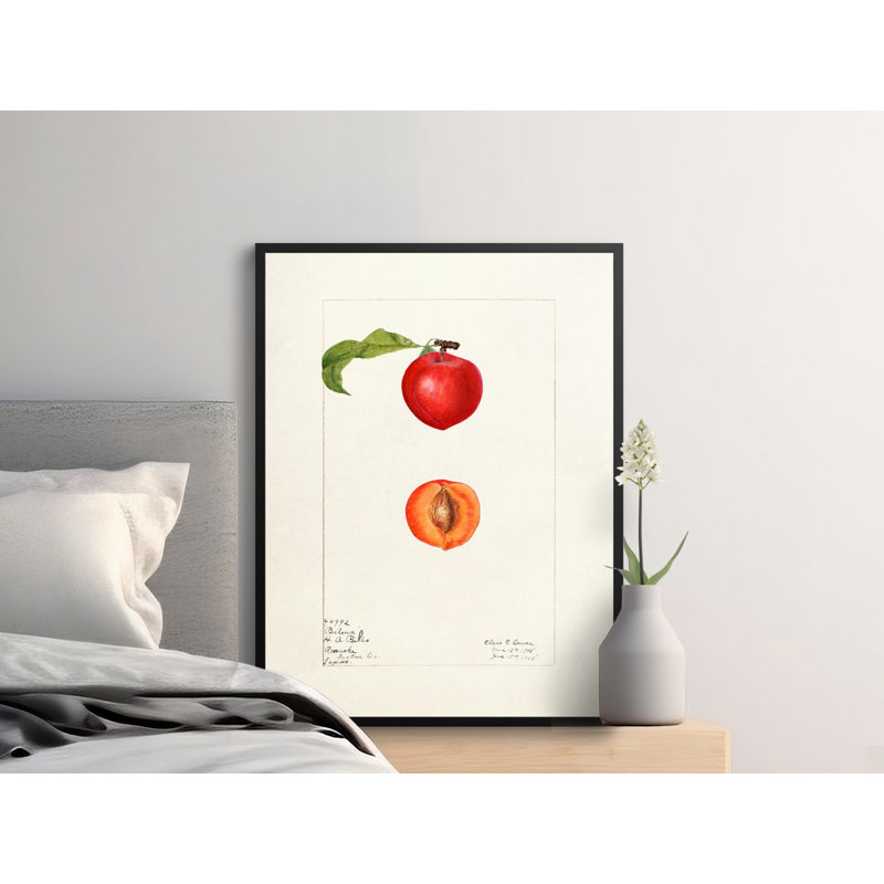 Sonette Floater Frame Print, 24x36