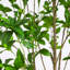 8 pi. Pieris japonais artificiel minimaliste