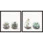 Diptyque rond en verre pour terrarium-1683917544