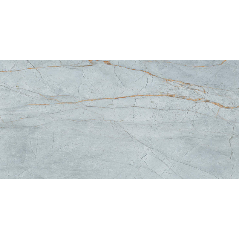 Carreau de porcelaine bleu 24x48