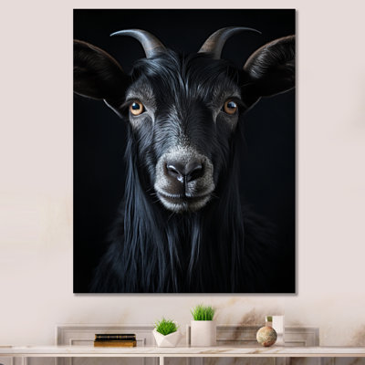 Lakenzie " Black And White Goat Portrait "