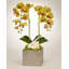 Orchid Faux Floral in Planter-1389730486