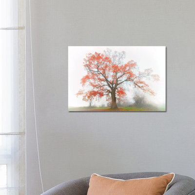 The Red Oak in the Myst 1 Piece Wrapped Canvas Wall Art