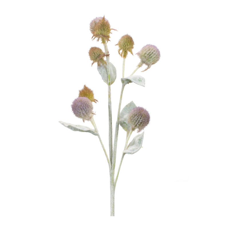 Jet de feuillage Thistle (ensemble de 6)