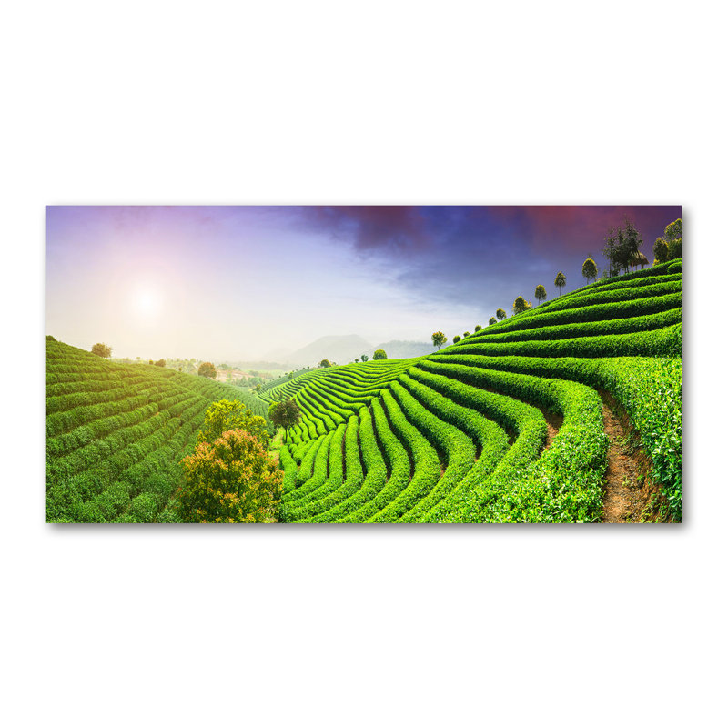 Doon 50cm W x 100cm L Glass Peel and Stick Panel