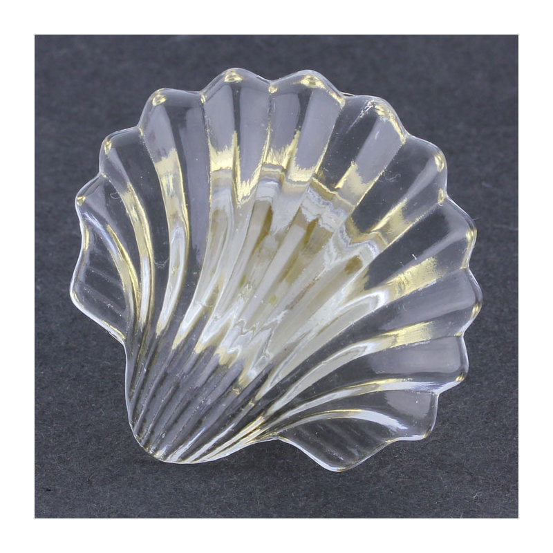 (Paquet de 5) (BESOINS DE BASE COLLÉS) Poignée coquille de 1 7/8 po transparente avec laiton