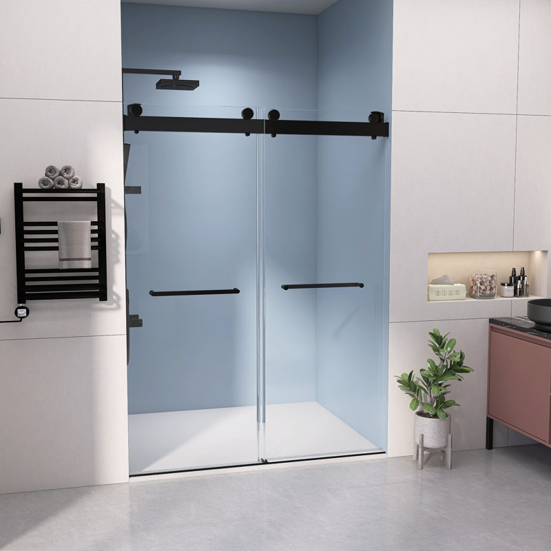 Porte de douche sans cadre à porte coulissante double l 60 po x H 79 po, Noir