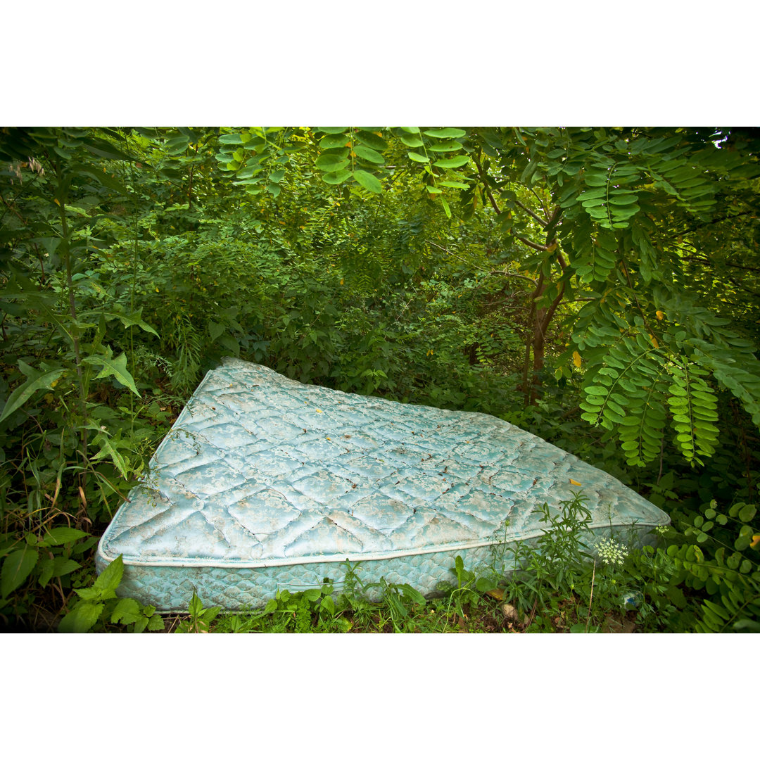 Mattress Dumped In A Forest von Tacojim - No Frame Print on Canvas