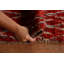 Tapis rouge marocain Trellis fabriqué à la main 7 x 10