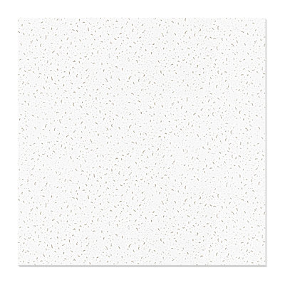 12Pcs 2 ft. x 2 ft. PVC Drop Ceiling Tile,Smooth Square Wall Panelling (48 Sq.ft.)