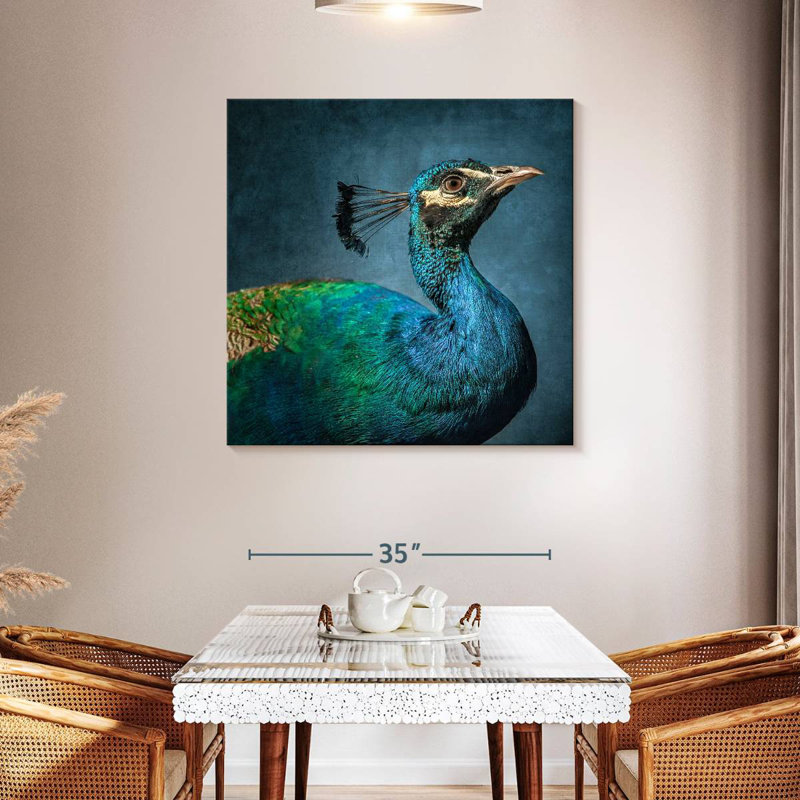 Brampt Proud Peacock
