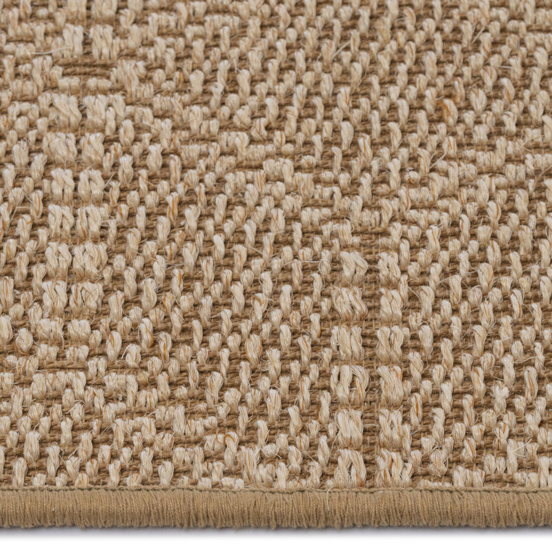 Jiske Jute/Sisal Geometric Indoor Rug, Rectangle 4' x 6'
