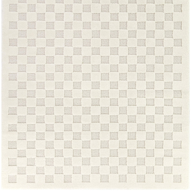 Auletta Checkered Machine Woven Rectangle 5'3" x 7' Polyester/Polypropylene Area Rug in Cream