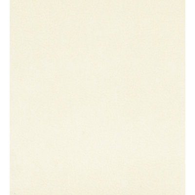 Essential Leathers Georgia Suede Fabric