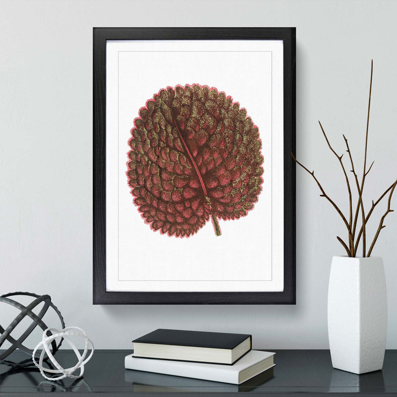 Plant Leaf by Benjamin Fawcett - Framed Print, 50cm H x 35cm W x 2cm D, Black