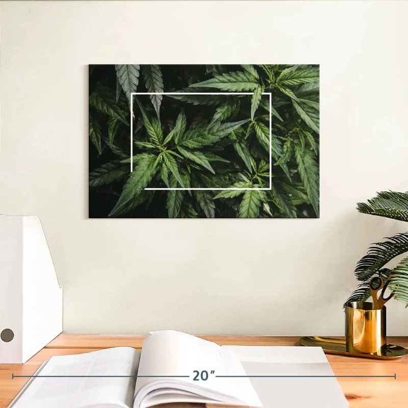 Feuilles de marihuana encadrées, H 8 po x l 12 po