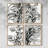 Kelp Contour I Framed Print - Set of 4-413166252-413166249