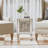Jiyah Mirrored Glass Top End Table