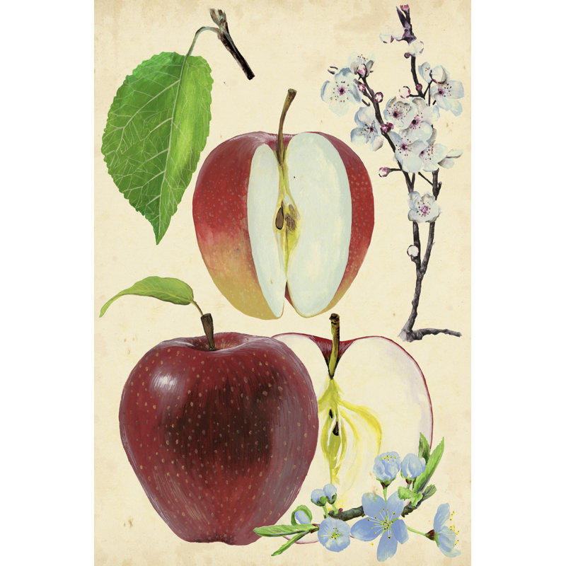 Apple & Blossom Study II by Melissa Wang - No Frame Painting on Canvas, 46cm H x 30cm W x 3.8cm D