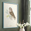 «Little Owl», reproduction encadrée - bois massif-1818825018-1818825022
