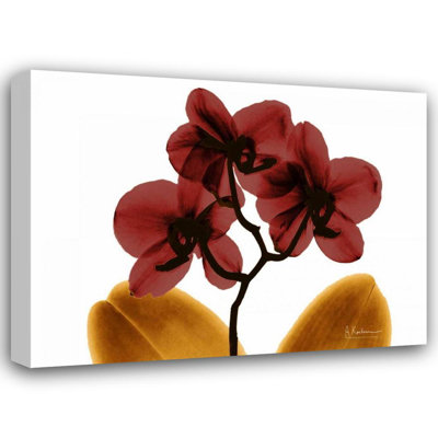 «Red Barrel Studio® Koetsier, Albert Gallery, art sur toile tendue: Orchidée