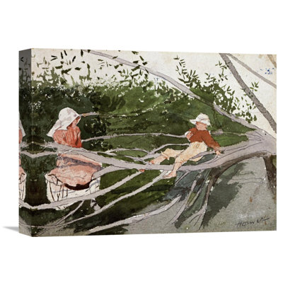 " Out On A Limb " by Winslow Homer