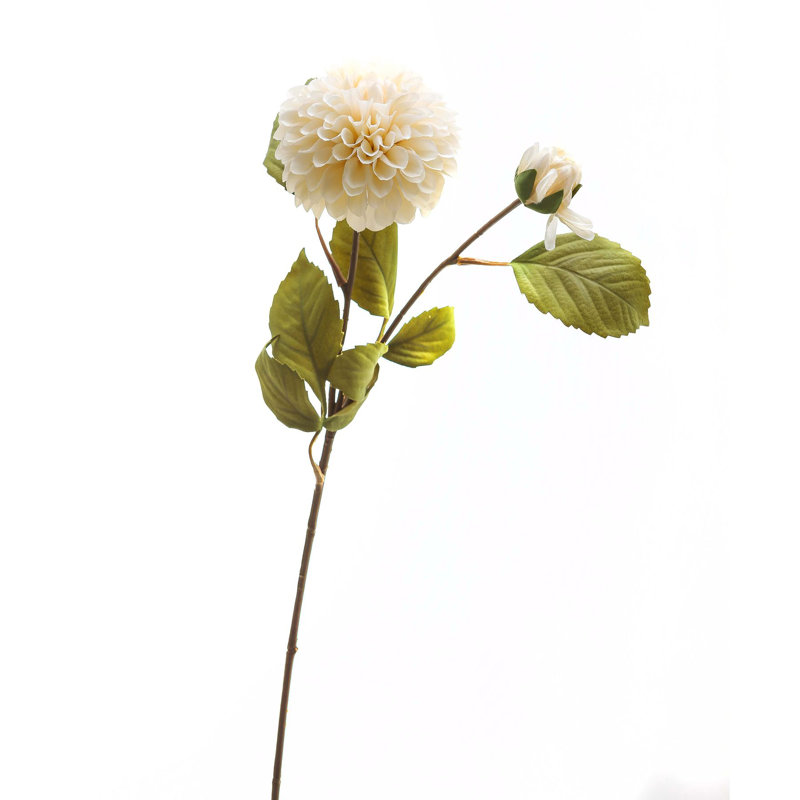 Anastasija Arrangement, White
