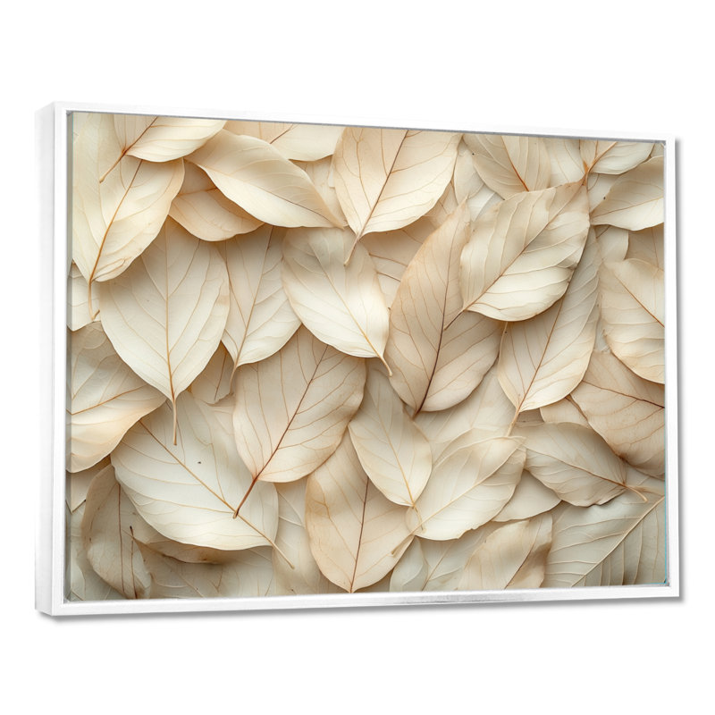 Jabrion - Floral Large Wall Art, H 16 po x l 32 po, Impression encadrée flottante, Blanc