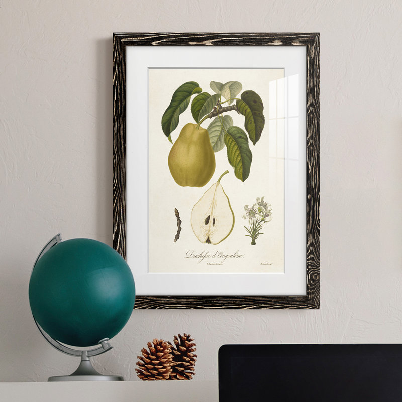 Vintage Pears I Premium encadré mat - prêt à être accroché, H 32 po x l 23 po x P 1 po, Cadre noir