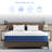 Alwyn Home Higganum 8 Inch Medium Firm Gel Memory Foam Mattress With Removable Cover & Fiberglass Free For No-Noise Deeply Safe Sleep-1323521385