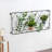 Asaf 24.1'' H x 24.1'' W Metal Lattice Panel Trellis