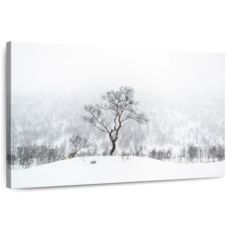 Alvord Tree Standing Alone, 34" H x 51" W