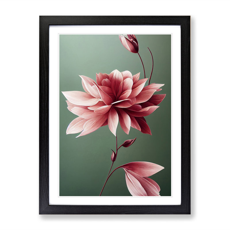 A Picturesque Flower - Print, 66cm H x 48cm W x 2cm D, Black Framed, White