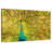 Brampt Glorious Peacock Feather-108818931