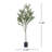 180CM ARTIFICIAL OLIVE TREE-327623738