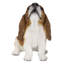 Basset hound chiot